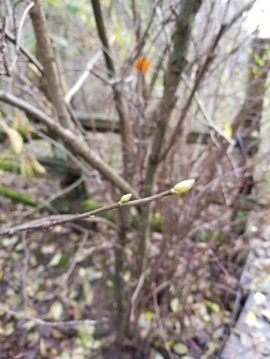 34566844-C7DE-431D-B202-0352F1D1C704