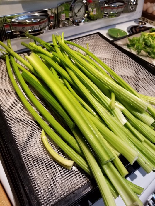 3BBE3CE4-2D1D-45B1-A140-DDBF8AAFBC24