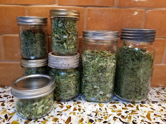 68DBFE04-6AAB-46E2-AFF9-AC9B2BAD7415