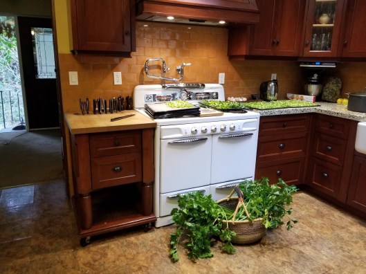 E02B89BD-4059-445B-9880-53613215E976