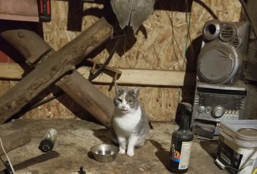 8A10D432-E7C7-4D39-BFAE-706E677EFDC0