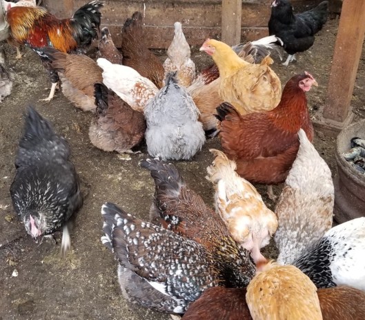 29428E3A-C83D-40E0-96F2-298664C1818A