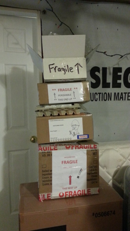 4D3AAFE4-326C-4889-89AC-B38282040097