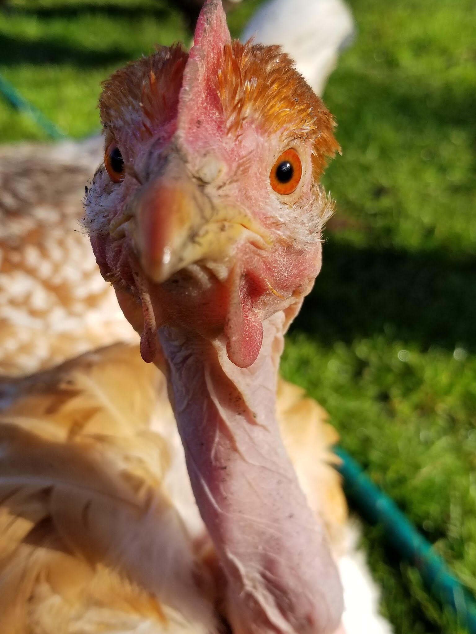 73DE6075-4DB5-4F21-B2D9-B97938044CF7