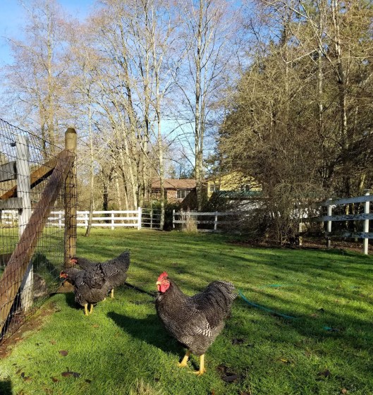 7D008F9C-BBDB-4F46-82E5-8A52E4F053D3