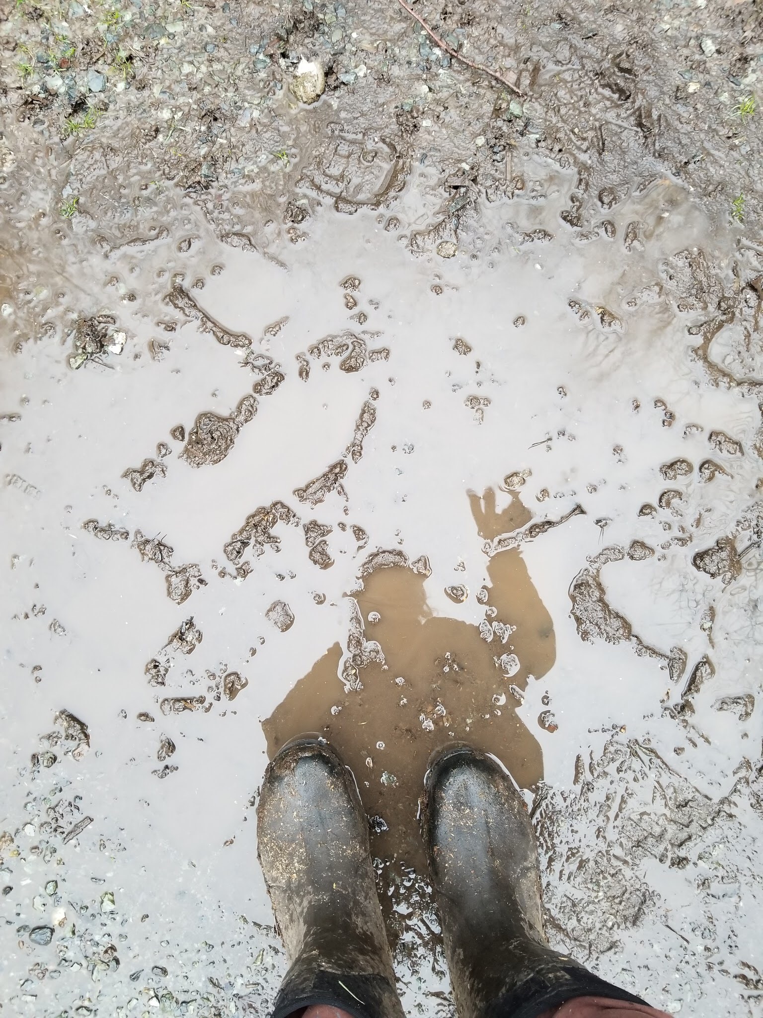 892D7C1F-AA4B-4613-BB6E-A69EFAC96FBB