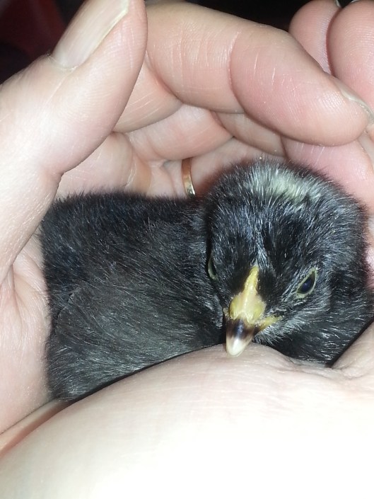 F0F4E835-CAAE-4B25-9C93-E9773294137F