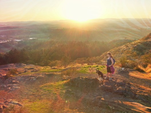 0A1A5A3B-2F04-432B-AA7A-3E0CE7D97A08