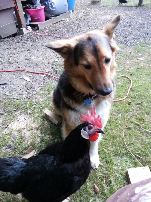 2BF34CD6-946B-471A-85C9-E7AE86EFEA4F