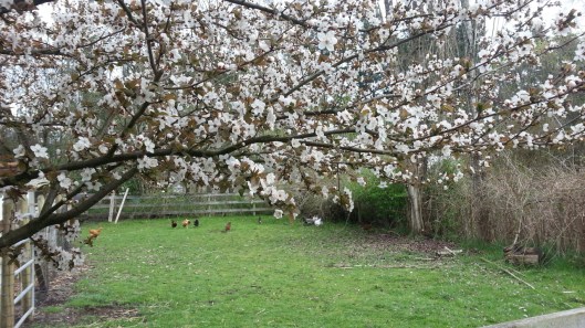 C44527F2-D5E4-4DD0-96B2-EDCE069A3C4B