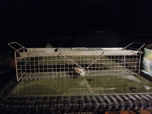 1702DDFA-6D5E-4128-9A9B-4C42466C7B0C