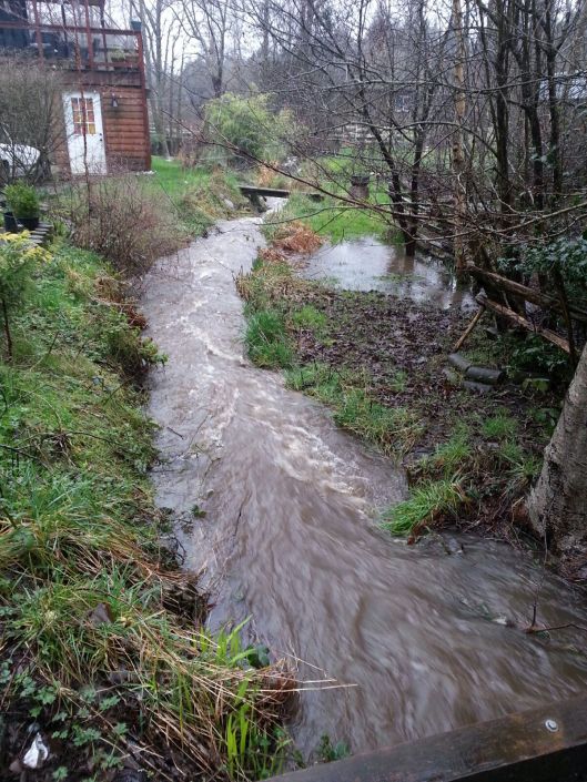 1BE745EC-2183-41CE-867B-F453ACE99743