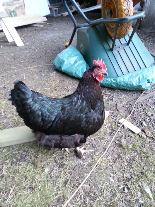 424DB7ED-652E-4787-9F22-C7292213B68B