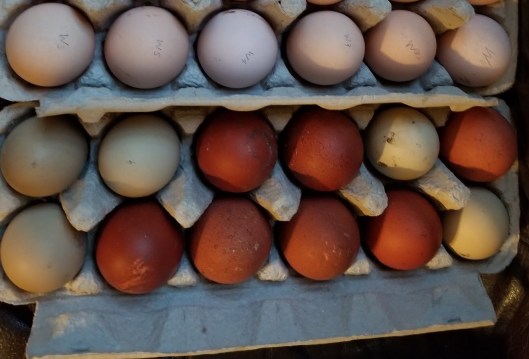 4CC92D41-454D-4594-AB35-B31BB3F01625