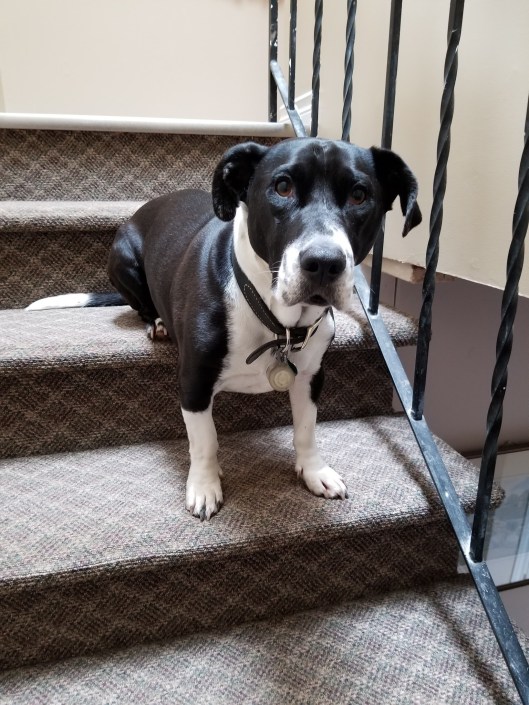 704EA798-3DCD-4178-A9B7-AC85EAD6C96C