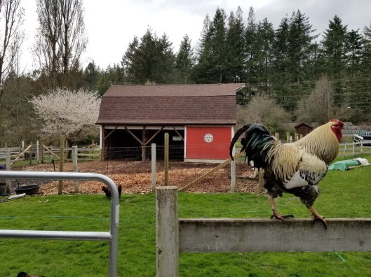 91FF1EC7-BF2B-4E2E-97DF-4993BA77F069