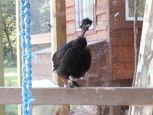 62952A19-05A1-4E6E-86A8-09EDCFAAD6D8