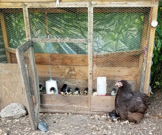 7E6D9699-EDA3-4F28-8413-2B01DB52AAC1