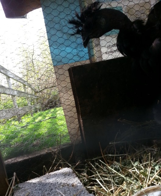 A10074B4-43C7-421E-A4E3-241A2FDD76B9