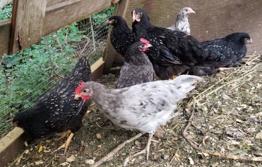 DB8DFBCD-2FC9-4B89-B8A1-48358CDD7C13