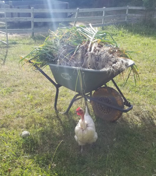 317AB939-923F-42EF-8A21-D21C540D1E5C