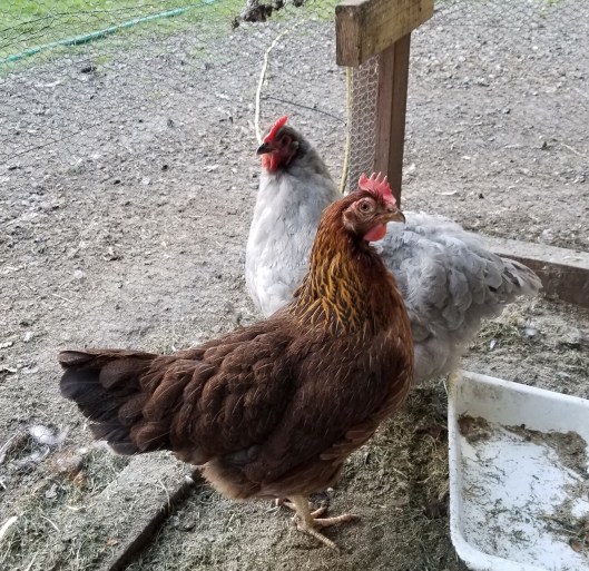 40839410-BDE9-461A-BF08-D97F5B5B43A8