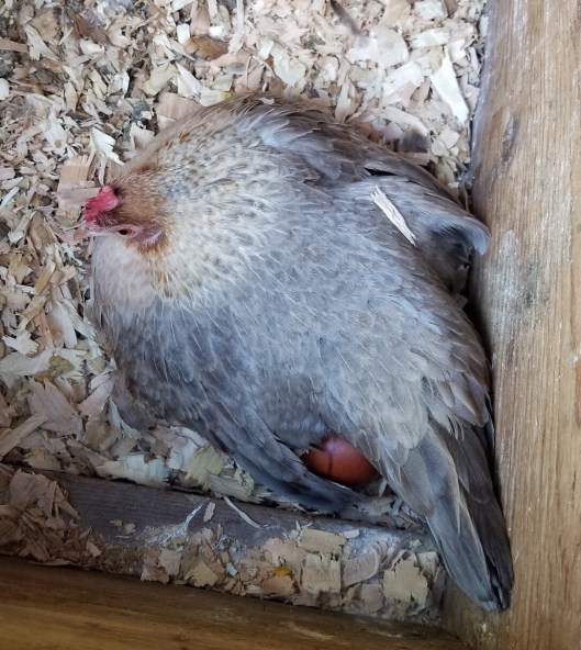 A2488CC4-CC57-4C6C-8C23-D33B396AF9F5