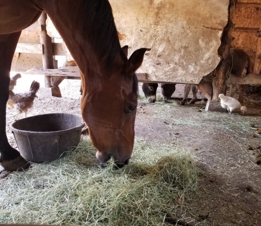 ABA01941-D5BA-497E-A649-CC97824974C2