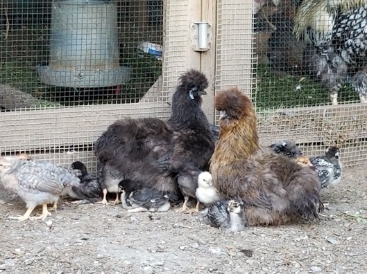 CAD039D2-6D54-4765-AD9C-168FE5860587