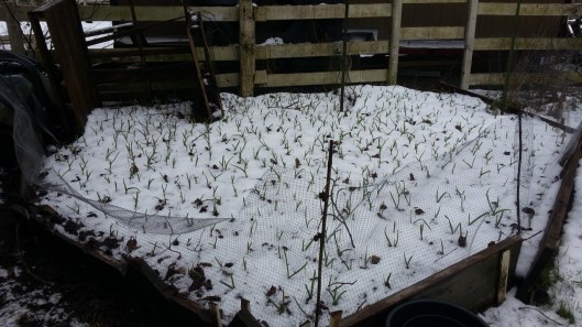 FE25E484-19BC-416B-A469-9A3493D81454