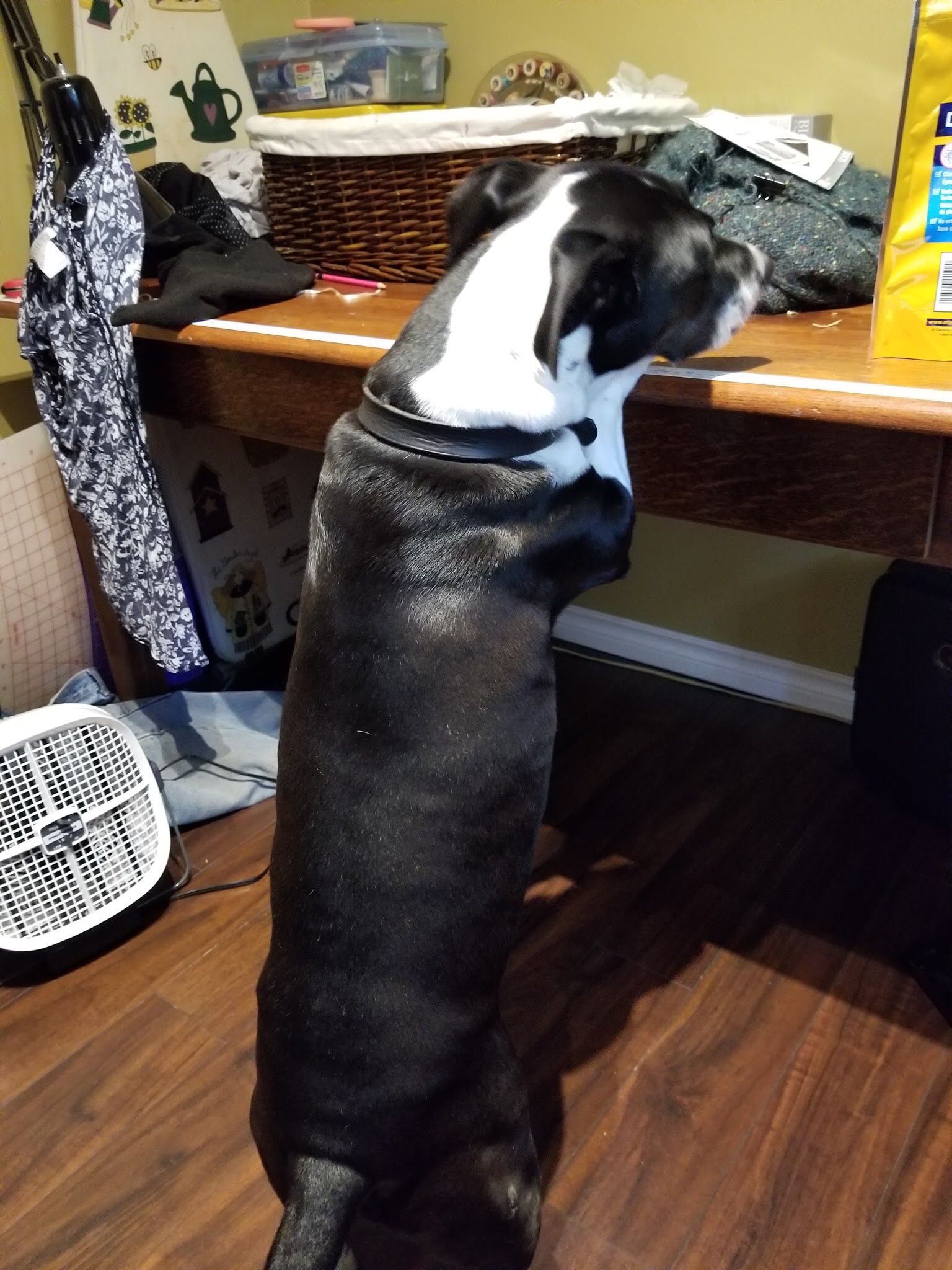 2EF7BB9E-6CE2-47E5-A589-4C8ED47B8262