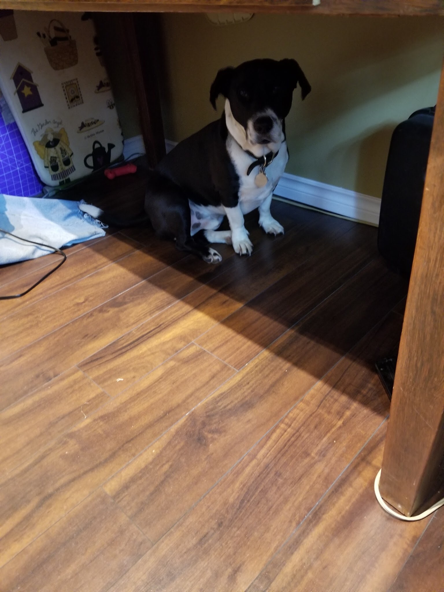 5F74E73F-B9AE-4061-9603-B541A8EEF794