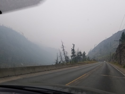 F1884BE4-4D31-4723-8F89-DFE2D3A9F63E