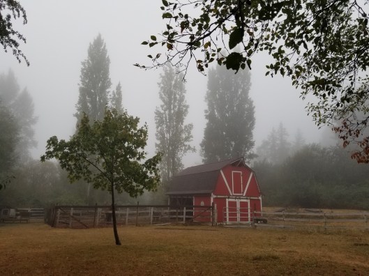 68597CC5-A0BB-4FB5-9D44-F23F0039E5FF