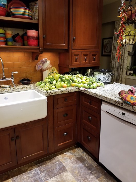 8DF094B7-BF17-4520-99D9-A145F87659C9