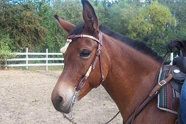 A595EC7A-05BC-4A02-89C1-02934056985F