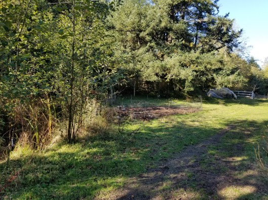 ACEAF45D-2422-4883-B688-250B9CFE32AE