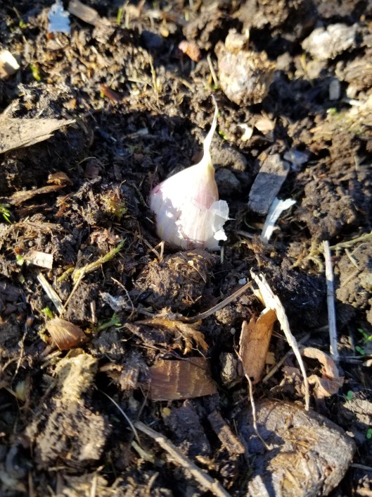 F1DD918B-A6C1-4F46-918B-6E1E64FB376E