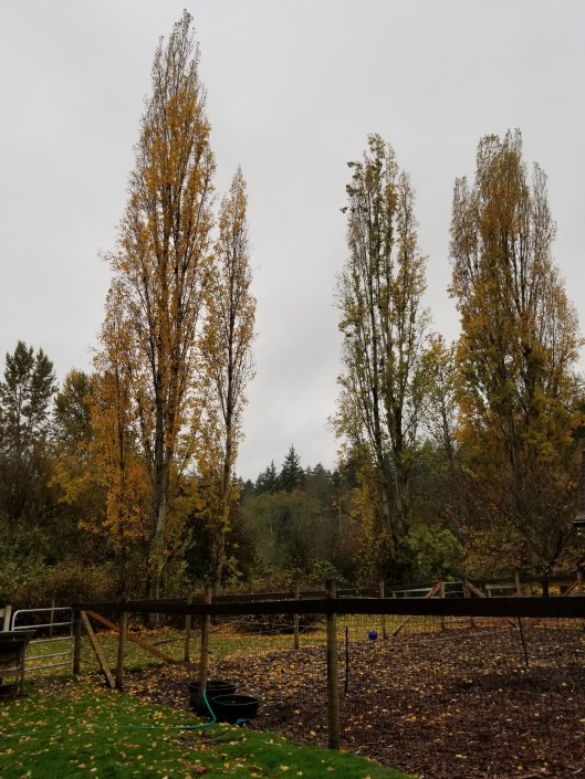 17E0DB47-A6F6-46C0-B337-FE5475C38F54