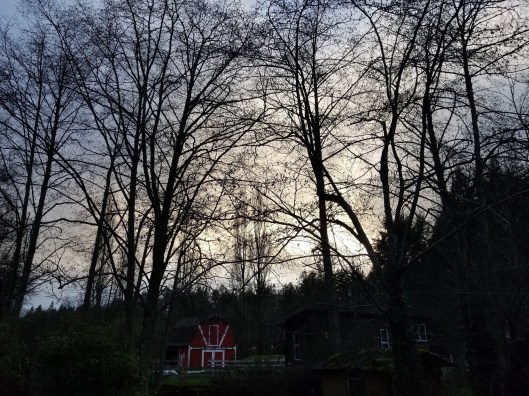 F2E47B50-7CAF-42D9-BC78-26C911E013C2