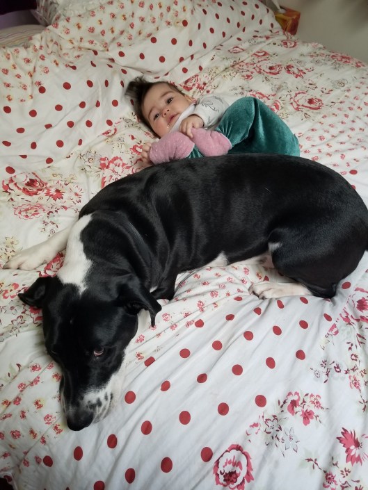 0DFC717C-EF07-4E25-BBAC-B50744A5564E