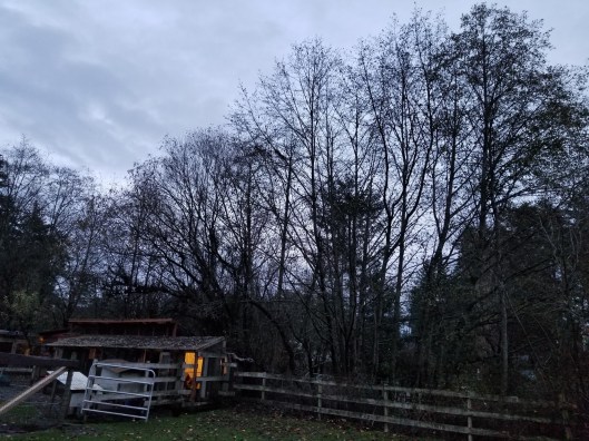 0F6DF840-9E09-4CB8-AFBB-217B80F8FFF8