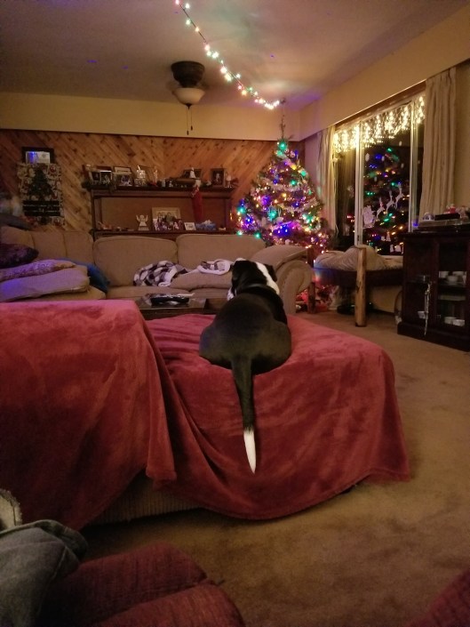 1FF8DE39-BD20-44A3-A2DB-FE4B116F76D3