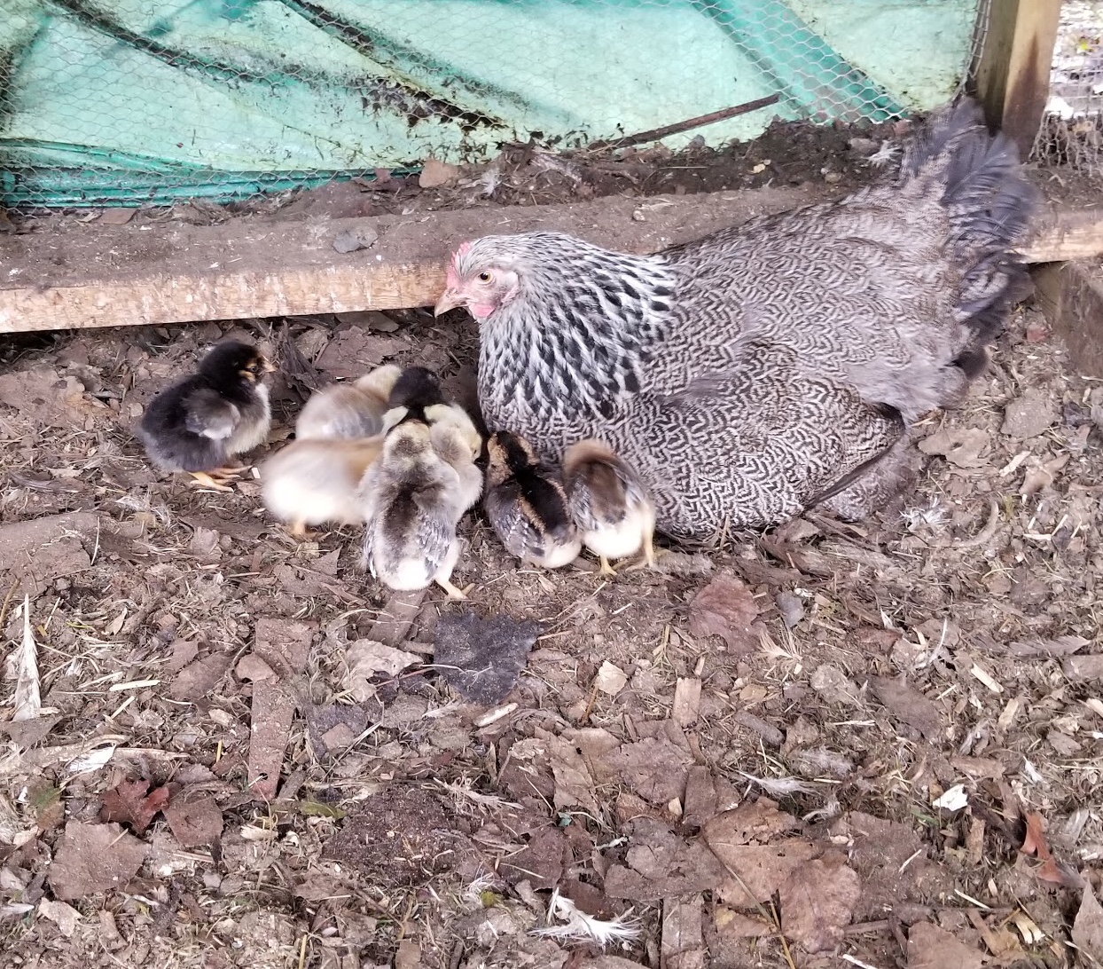 327B7612-BFE1-472C-86F9-FAE6A1017404