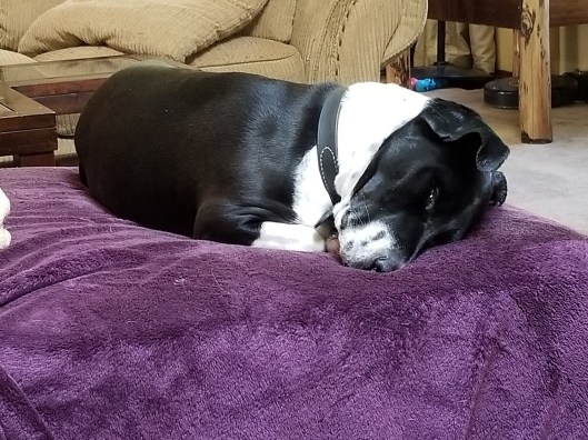 69DF8CE9-F4E3-4BFA-9E70-9D89F8B56361