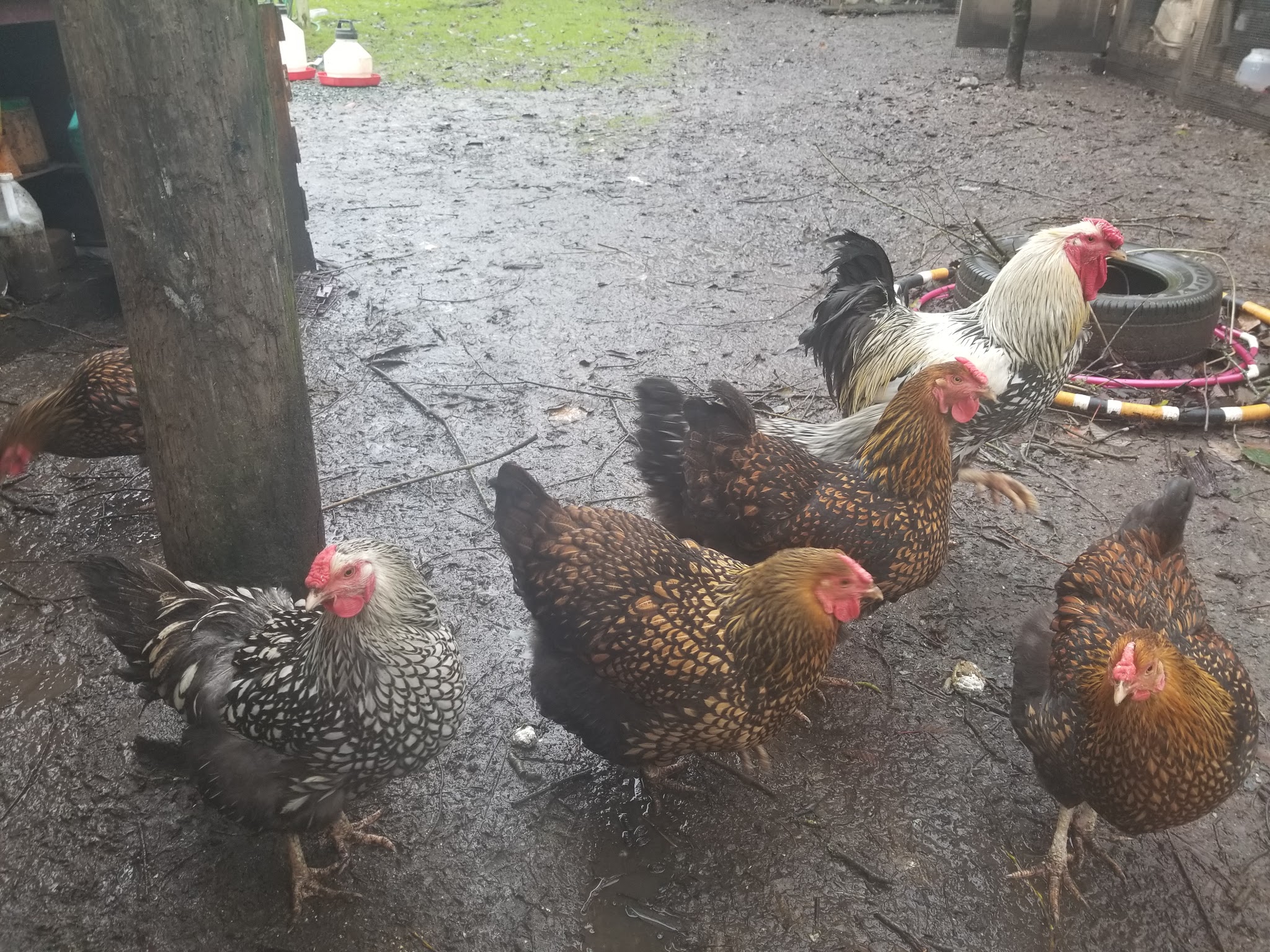 82108F4D-CC03-40F6-81C1-86966D9B5F21