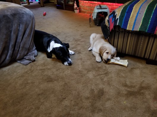 91104F79-2080-4730-9C96-EA7049021636