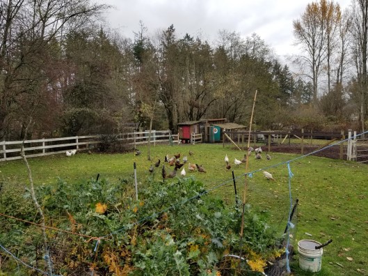 AEFC506F-C46E-412B-97B0-9A1438BC242A