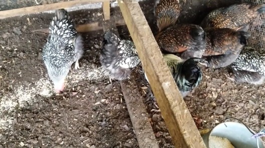 305ed894-c568-4efe-afda-fa41c62f2c59