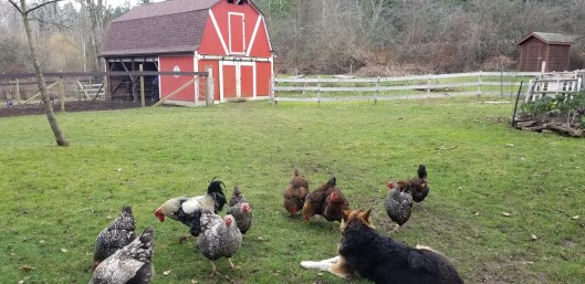 4a48c52b-0b6f-4825-a59c-cc78030d0777